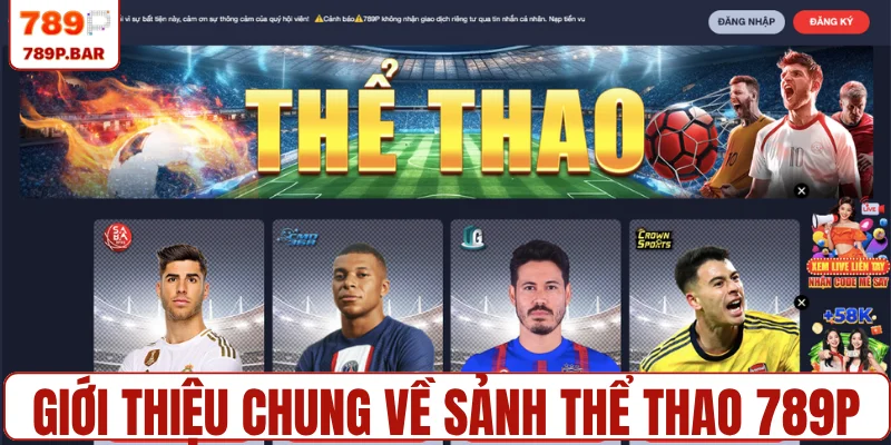 Giới thiệu chung về sảnh thể thao 789P